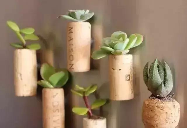 脑洞大开!废旧物品打造创意幼儿园植物角，好清新!