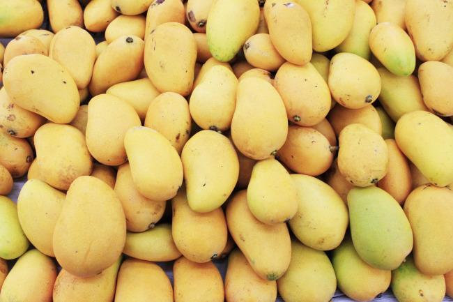 广东一女子吃了几个芒果后 导致面部红肿还发