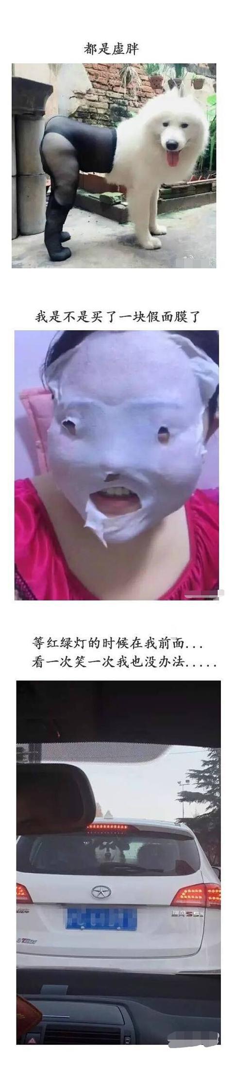 这也许是你见过最搞笑的图片