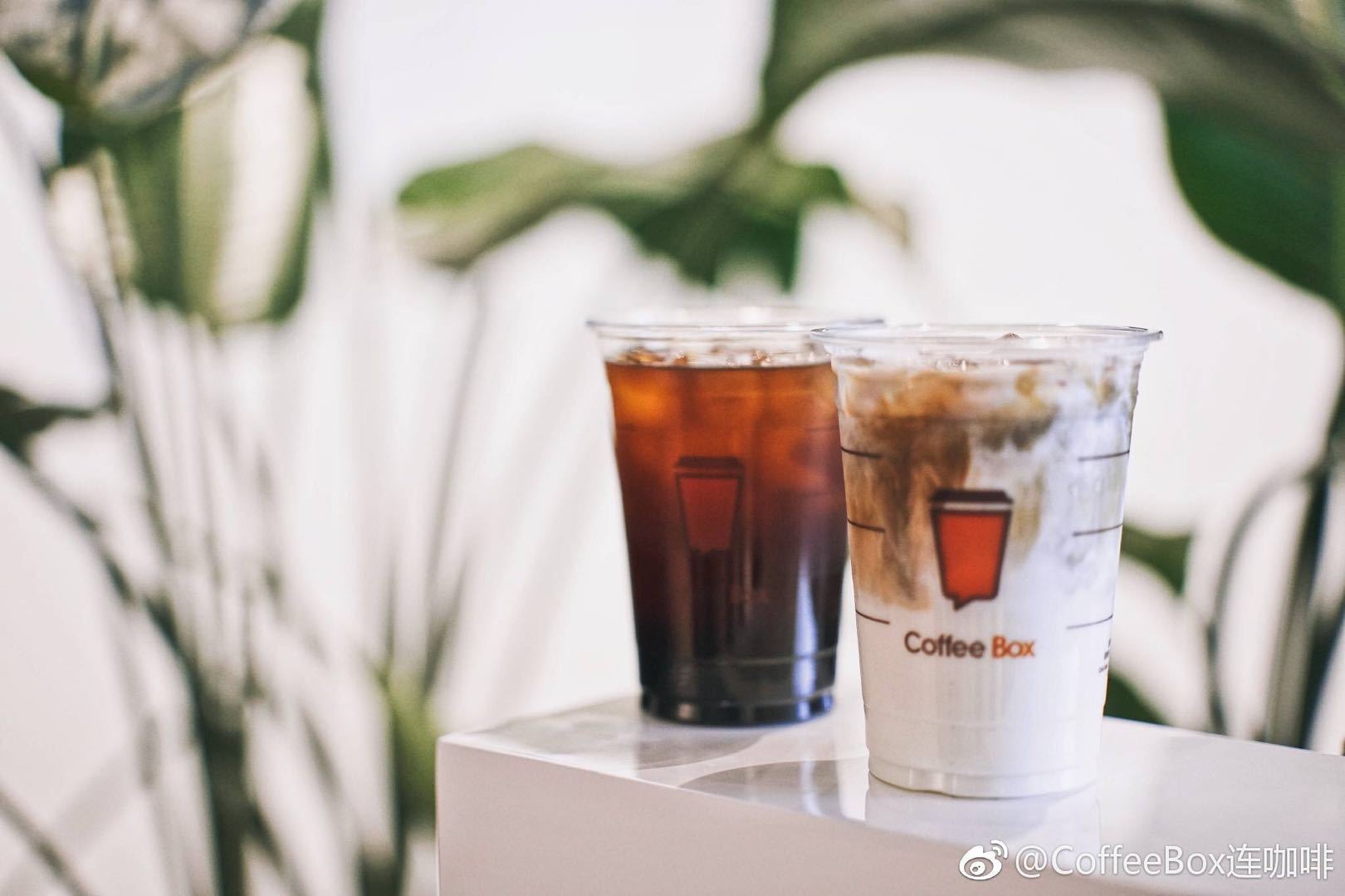 互联网咖啡市场最近风声大作, 烧着大把的钱冲