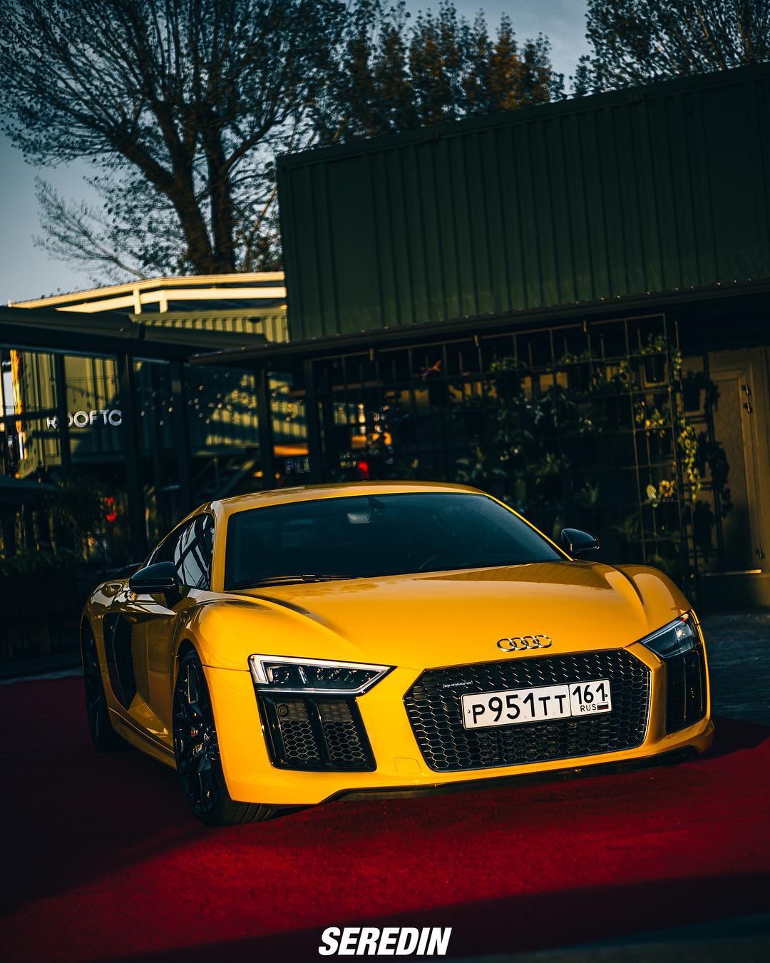 audi r8