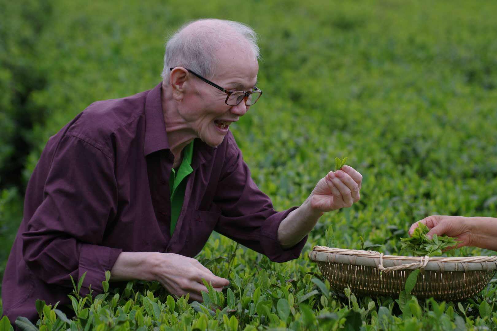 全国康养中心项目盘点 荣成康养优势在哪里