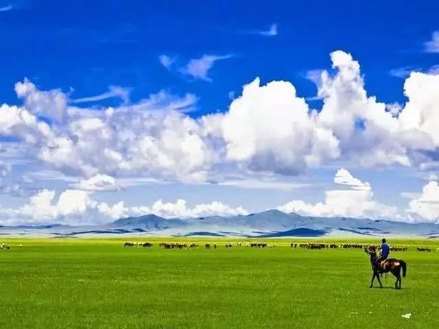 呼伦贝尔最美夏天,这9大自驾草原的禁忌你有必要了解