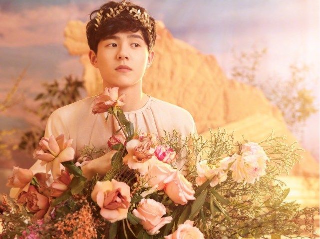 刘昊然同学录曝光,绰号和梦想备受关注!有人注意到他的生日?