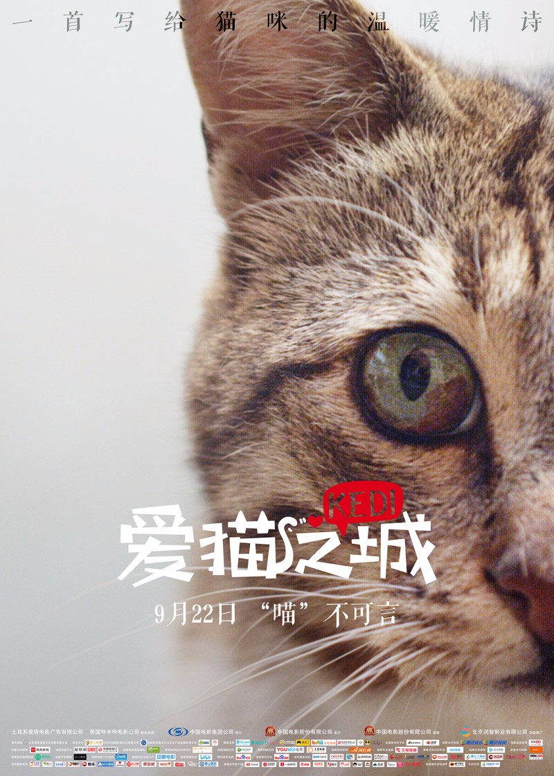 电影《爱猫之城》发暖心推广曲 俏皮《猫语》述心事