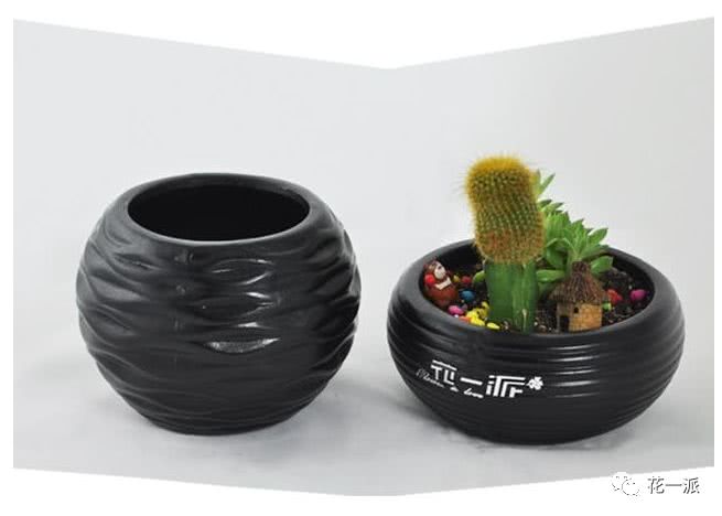 天地纵横黑白之间,我自新绿傲然为你