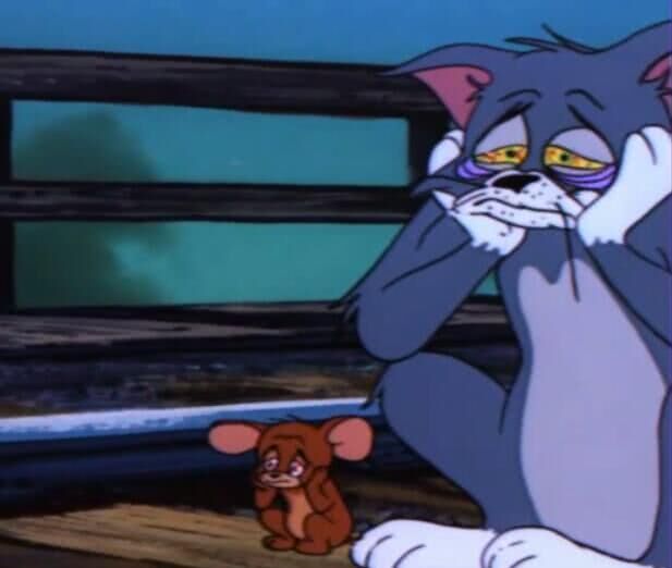 猫和老鼠大结局 太伤了