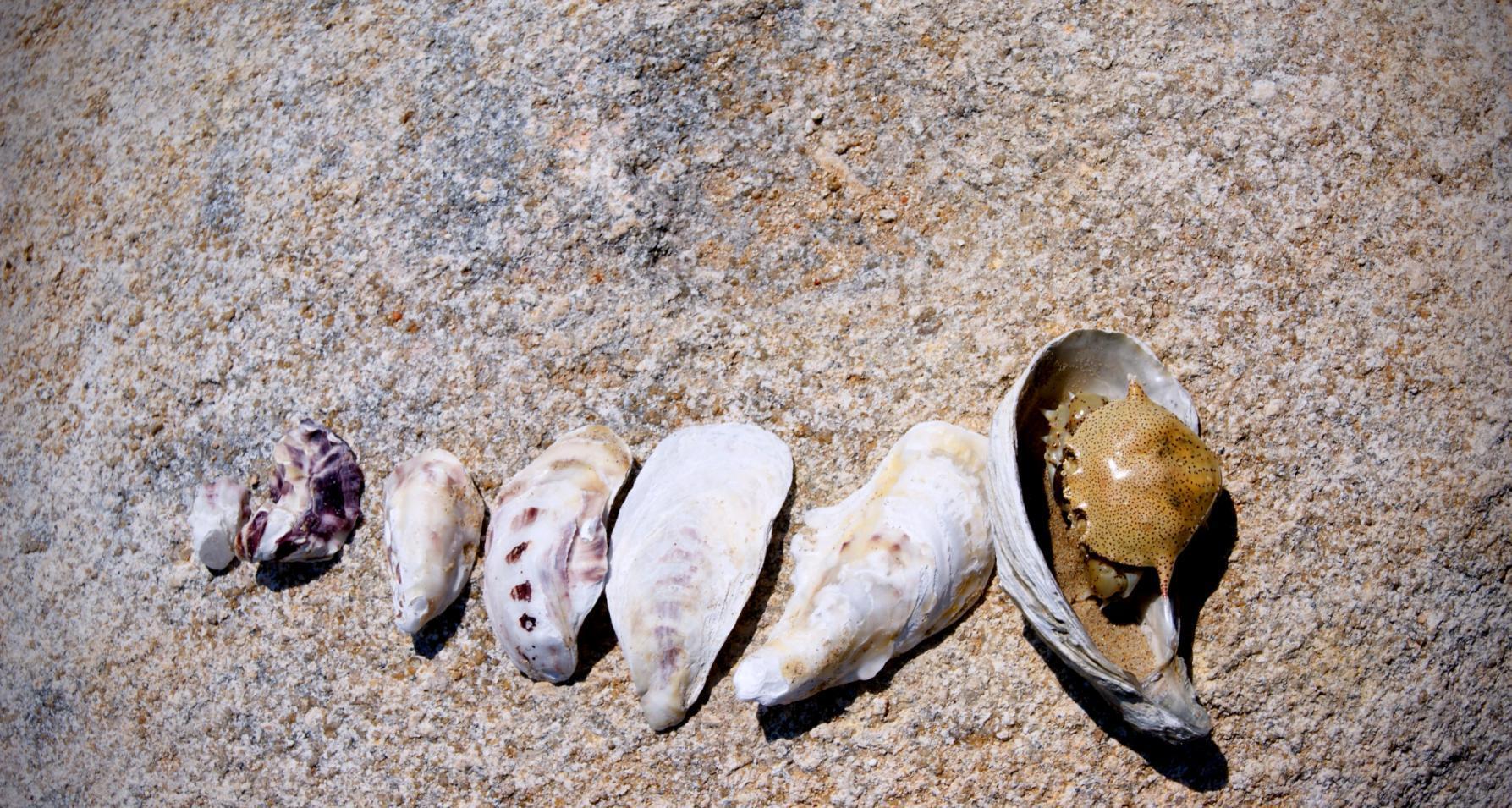 中国最干净的海滩之一