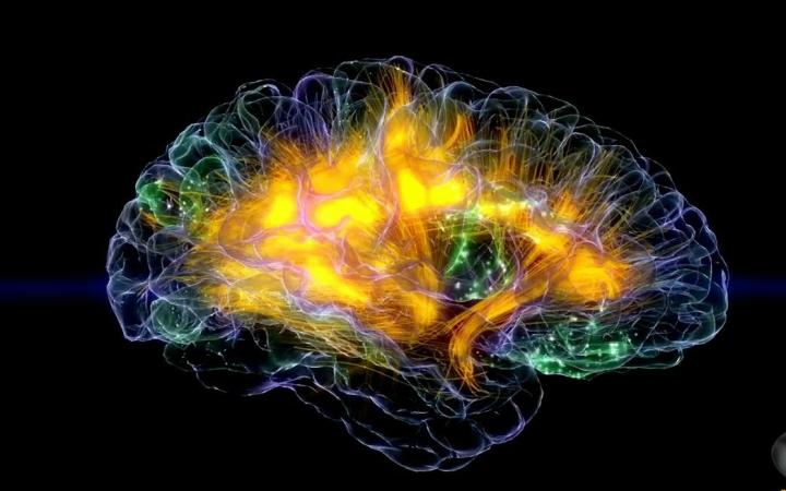 若大脑被完全开发,人类将变得多厉害?科学家给