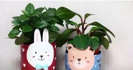 喝完的矿泉水瓶废物利用，幼儿园手工全都有，绝对实用