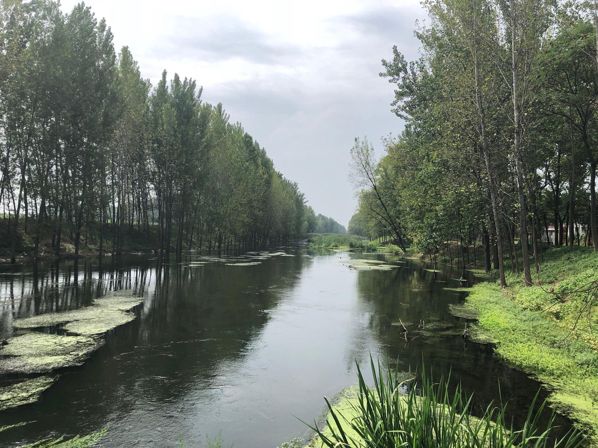 很多垃圾,现在河流已经大不一样了,绿水悠悠,整个河两岸也都很干净