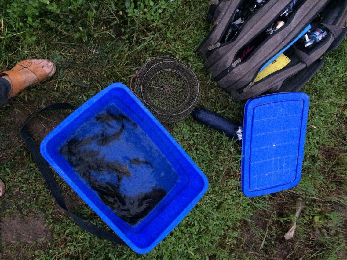 回忆钓嘎鱼的日子,还有这道家常菜