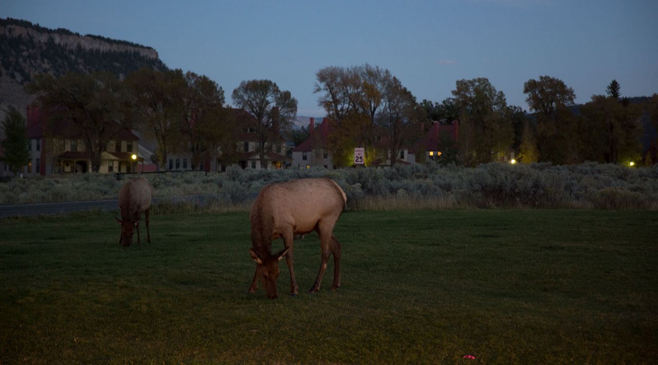 余额宝升级,三只基金哪只好?