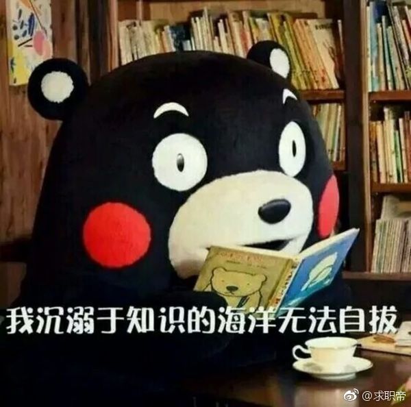 哪个善意的分享一份seo优化教程