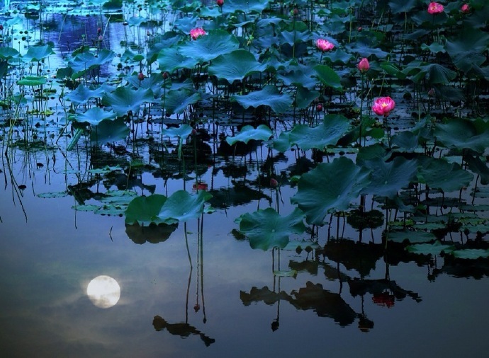 未花叶自香,既花香更别。雨过吹细风,独立池上