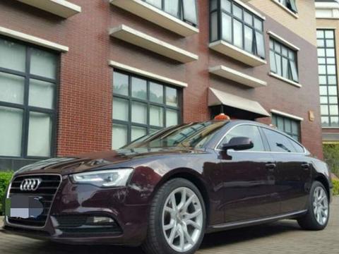 落地价54万，现在只需29万，没开多久掉价25万，车主几天吃不下饭