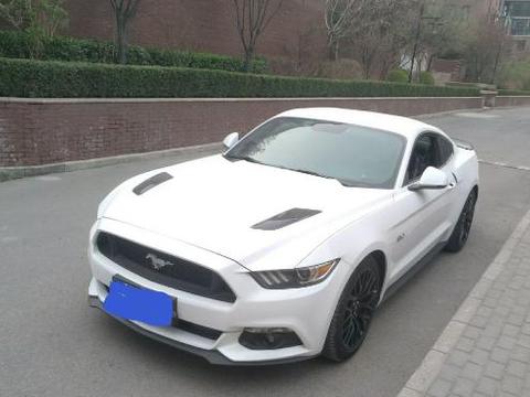 74万元买辆8缸福特大野马，开了1万公里后车主晒出了真实油耗