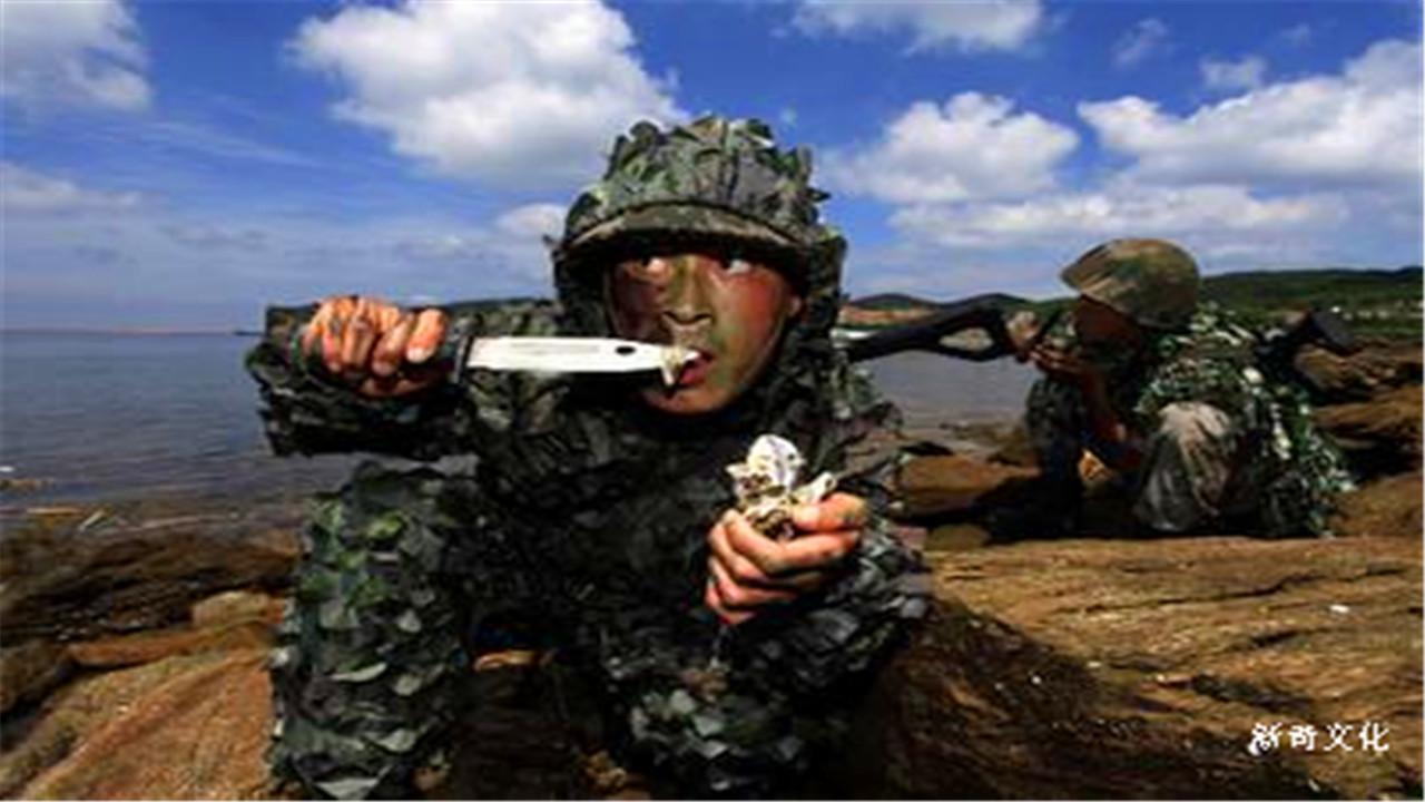 特种兵退役后, 一旦走向黑暗道路怎么办? 原来