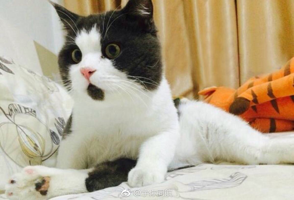 今晚回父母家,居然发现石桥铺在修万达广场,而