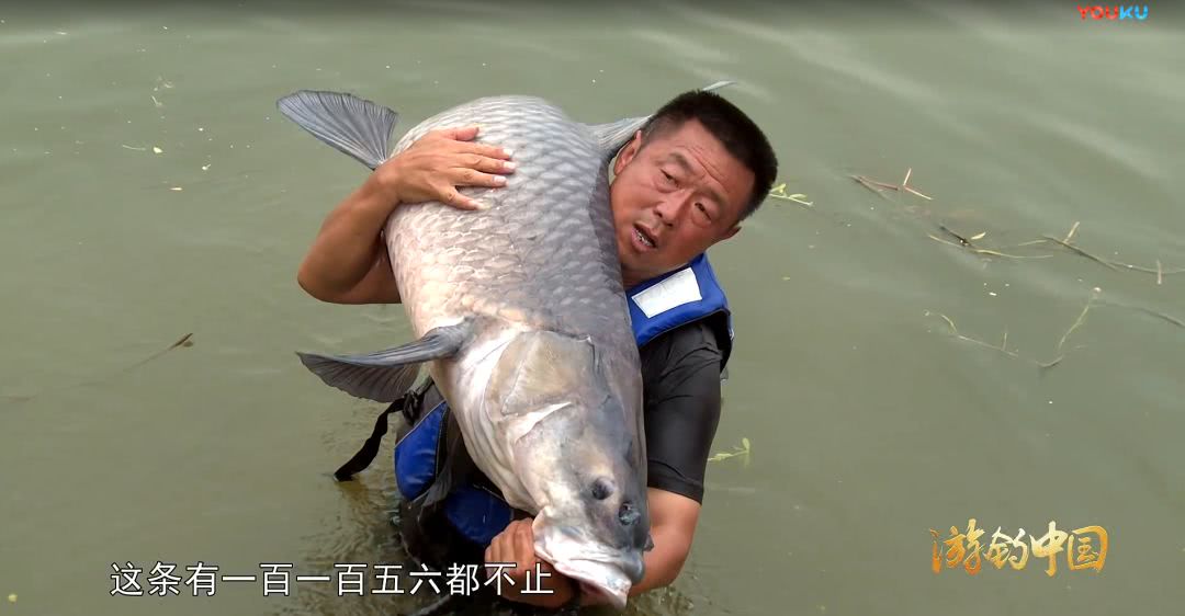 钓鱼达人李大毛钓获150斤巨青，究竟用了什么窍门?