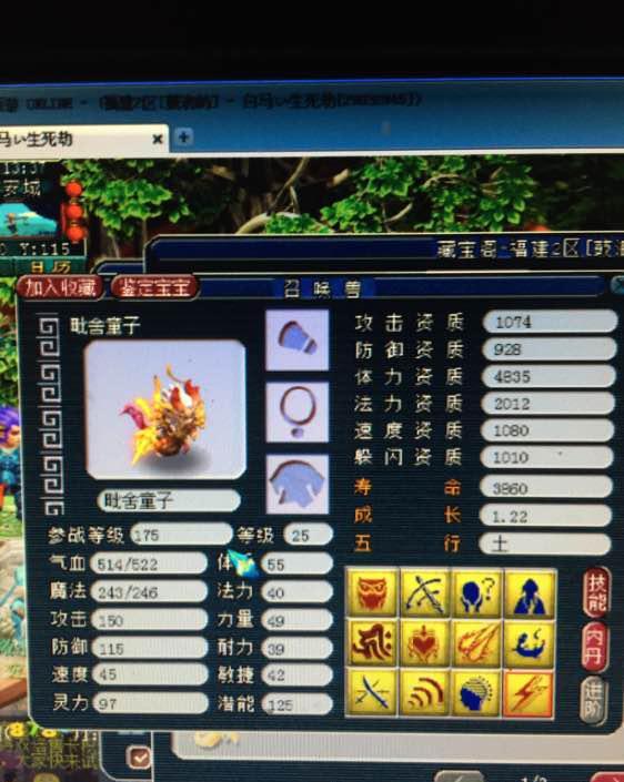 梦幻西游11技能宝宝强得无语!据说至少值10万块