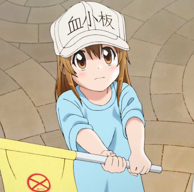 B站回应血小板吧被爆破一事