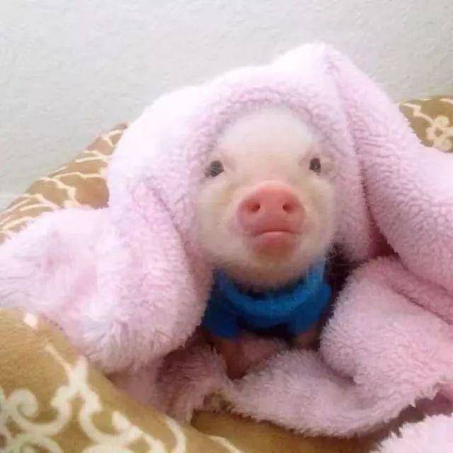 大学生,新学期你有怎样的新规划?