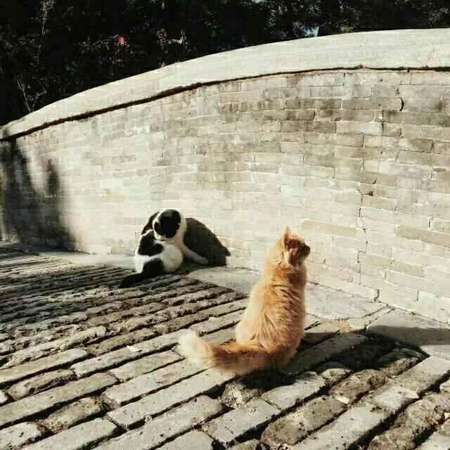 有哪些一读就让人感觉岁月静好的古诗句?