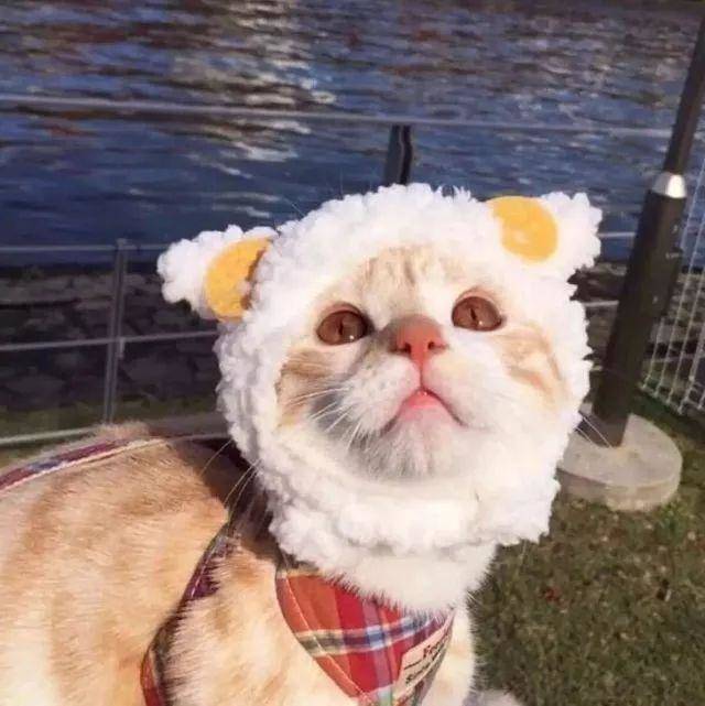 大学生,新学期你有怎样的新规划?