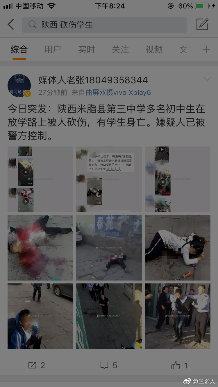 陕西米脂县被砍伤学生中7人确认死亡 嫌犯已被抓