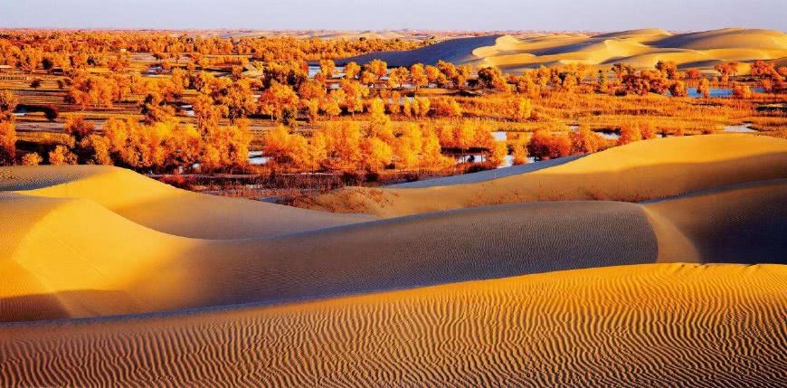 真要回归盛唐西周？全球变暖：中国北方暴雨，塔克拉玛...