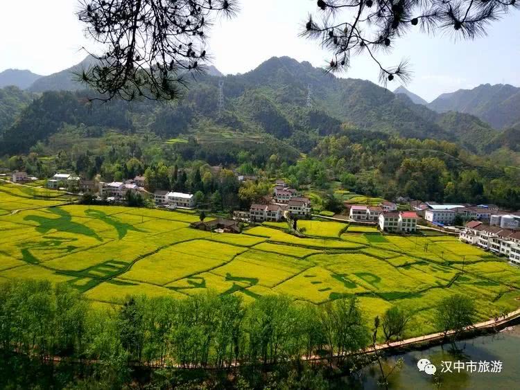 汉中龙湾那片油菜花海春意正浓