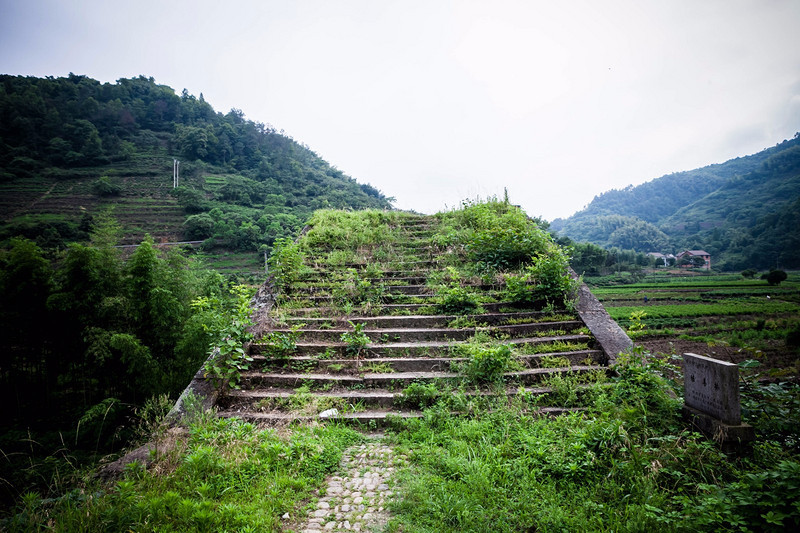 青山绿水竹林听泉里南大山过向往的生活