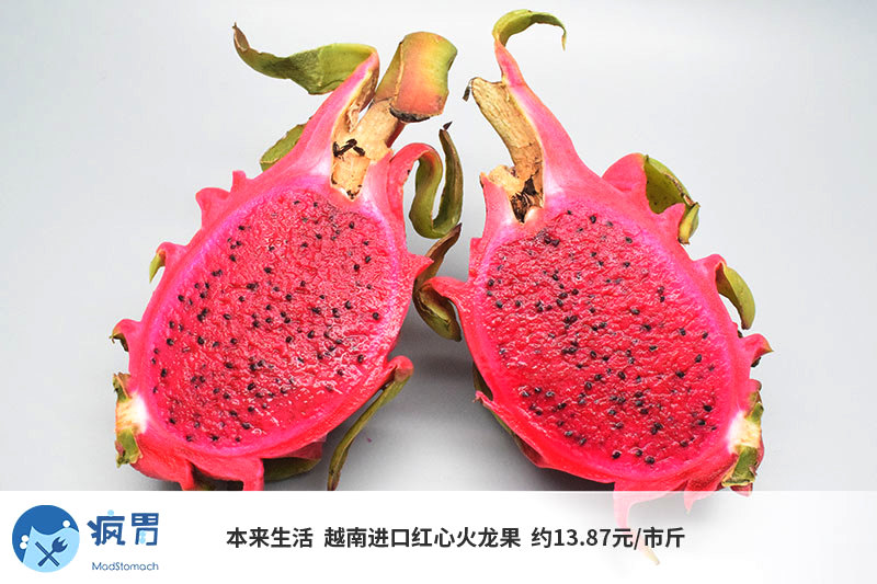 长在仙人掌树上的红心火龙果评测:小象甜 春播