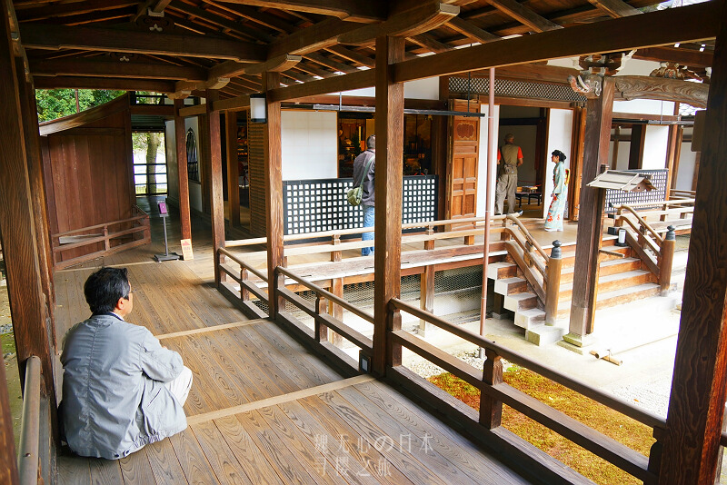 日本冷门赏樱处:京都岚山的大觉寺,360度无死