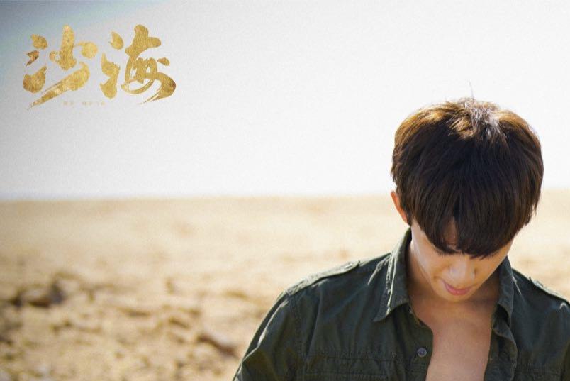 沙海电视剧 新浪网