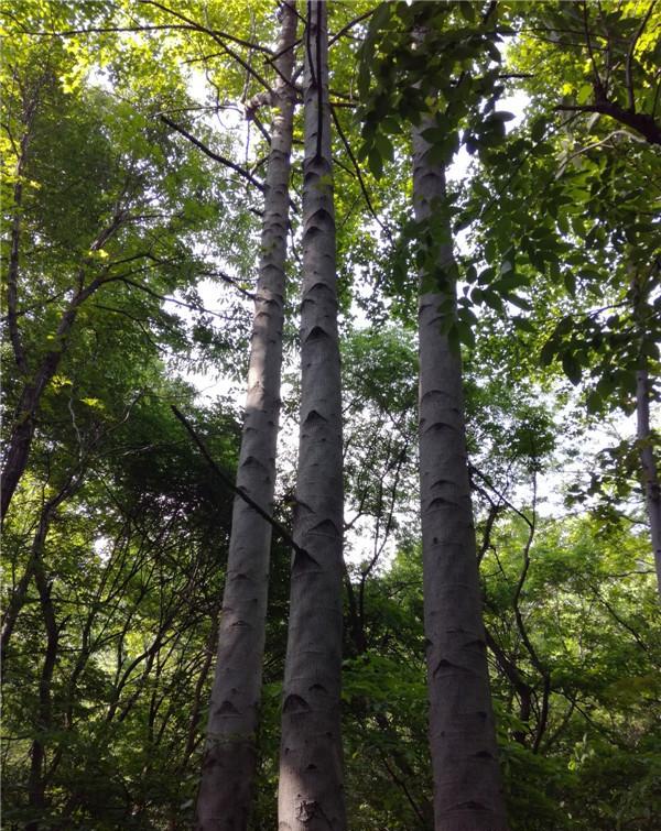 兼职新手如何在快活林论坛赚到第一桶金?