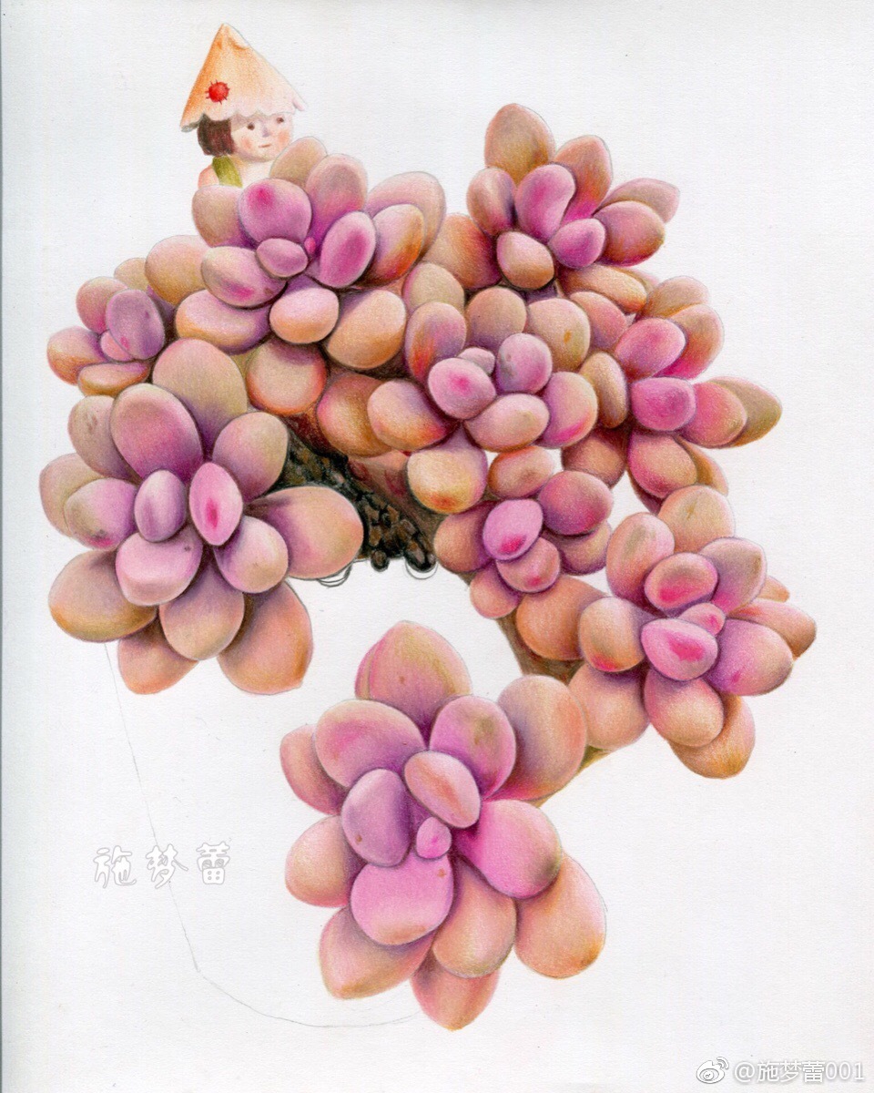 爆棚美肉笔:霹雳马132色纸:飞乐鸟油性彩铅写