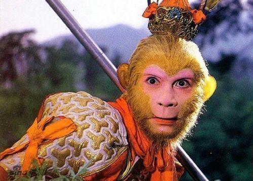 网友嘲讽章金莱,除了孙悟空,还会演什么?六小