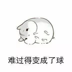 仓鼠表情包:天要胖我,不得不胖