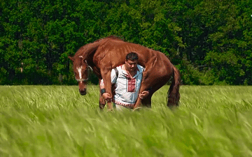 爱上一匹野马,可我的家里没有草原,那么,难道没有草原就不能养马么?