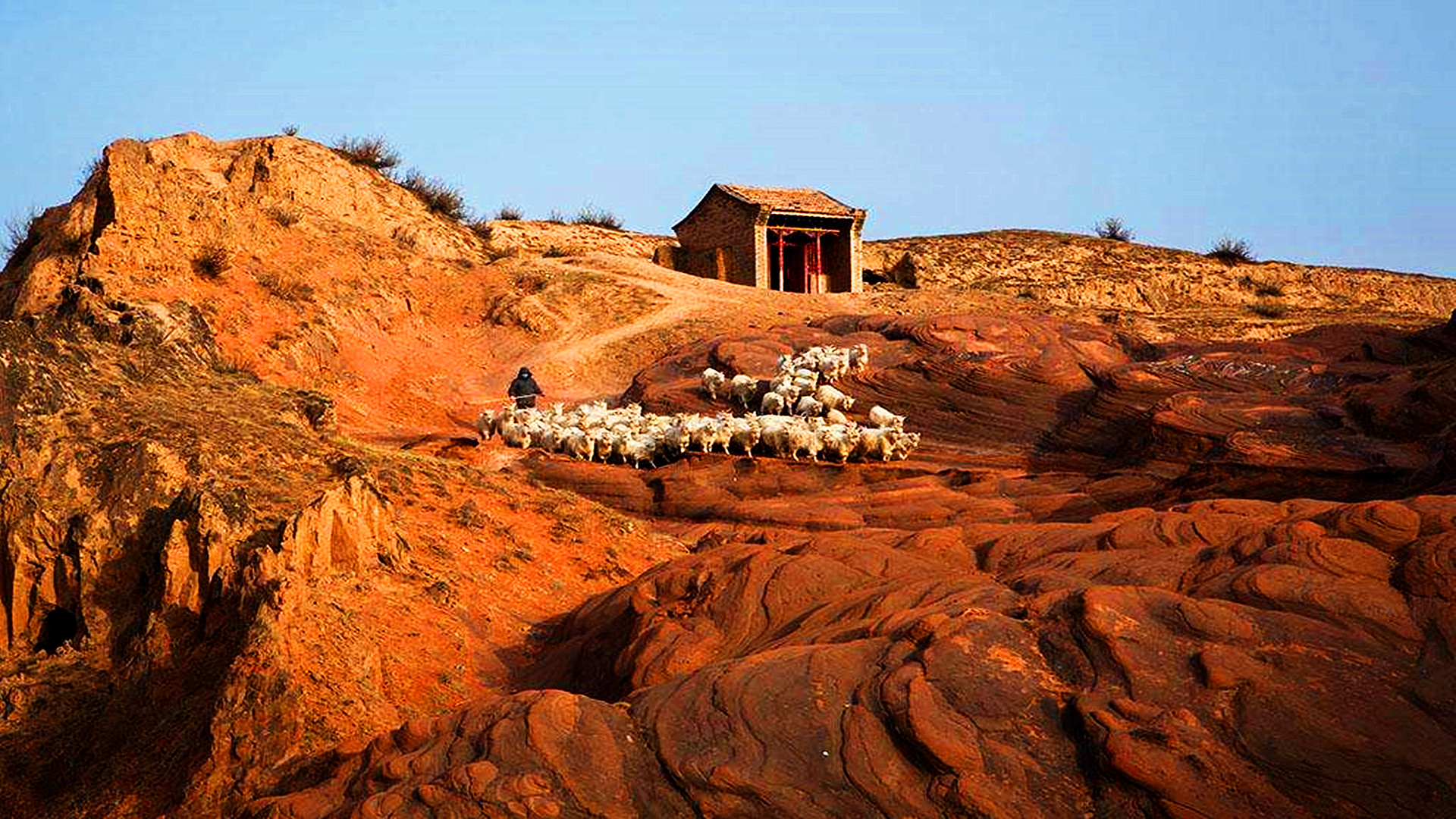 西最牛的4个县市,榆林3个,渭南1个,西安 咸阳竟