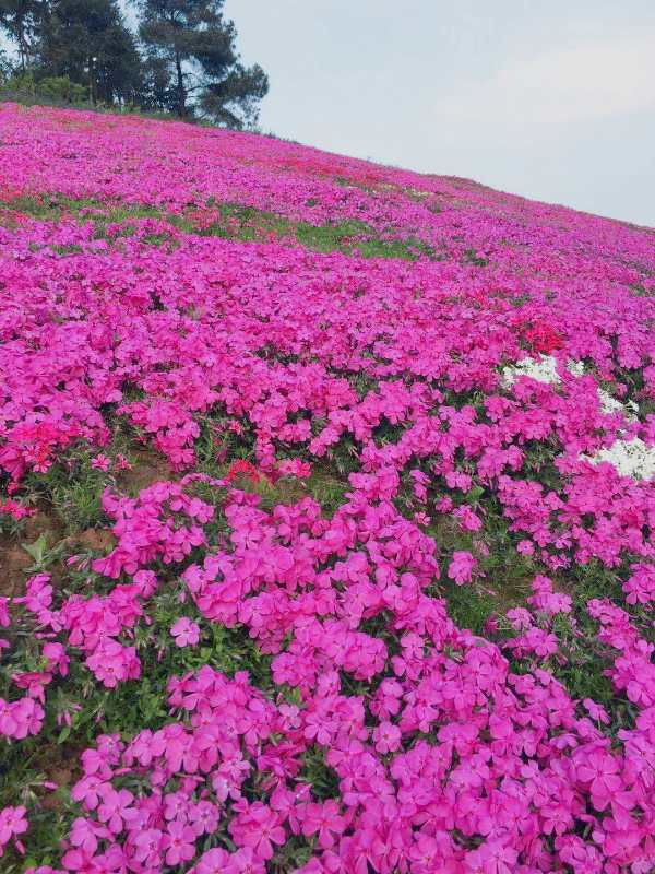 国庆长假去迎龙侠景区打卡 劲爆高空玻璃漂流