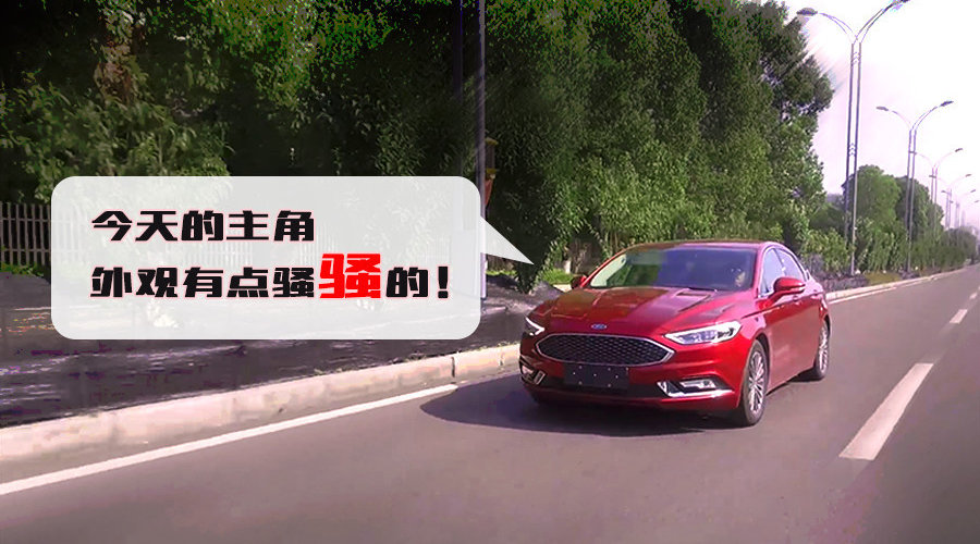 为了拍这款骚骚的插混蒙迪欧，差点蹲了局子