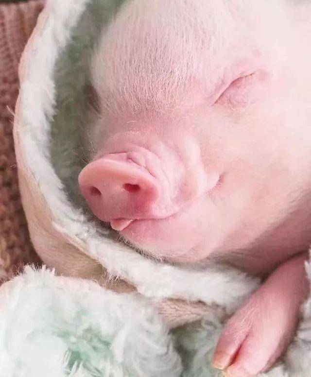 大学生,新学期你有怎样的新规划?