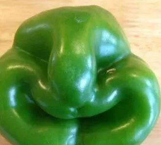 发你35张不正经照片,笑死人不偿命!专治不开心