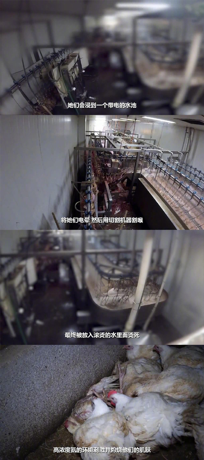 2018年最受人瞩目的纪录片之一《统治》