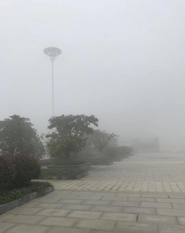 雾都邯郸:实拍雾霾触目惊心,简直仙境!