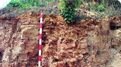 四川水产业发展概况及远景目标