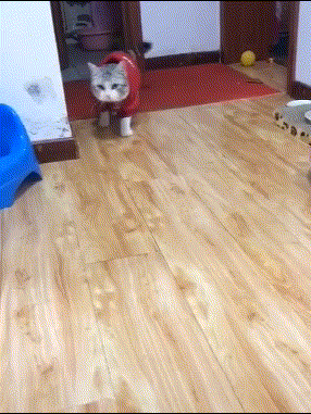 搞笑gif趣图:逐渐消失的笑容,表情帝附体